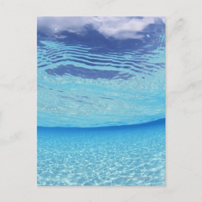 In the sea postcard (Front)