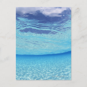 In the sea postcard