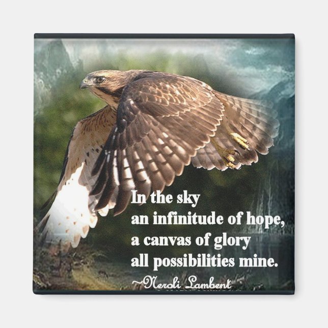 In The Sky Magnet (Front)