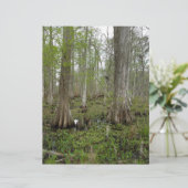 In the Swamp (Standing Front)