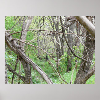 In the thicket poster