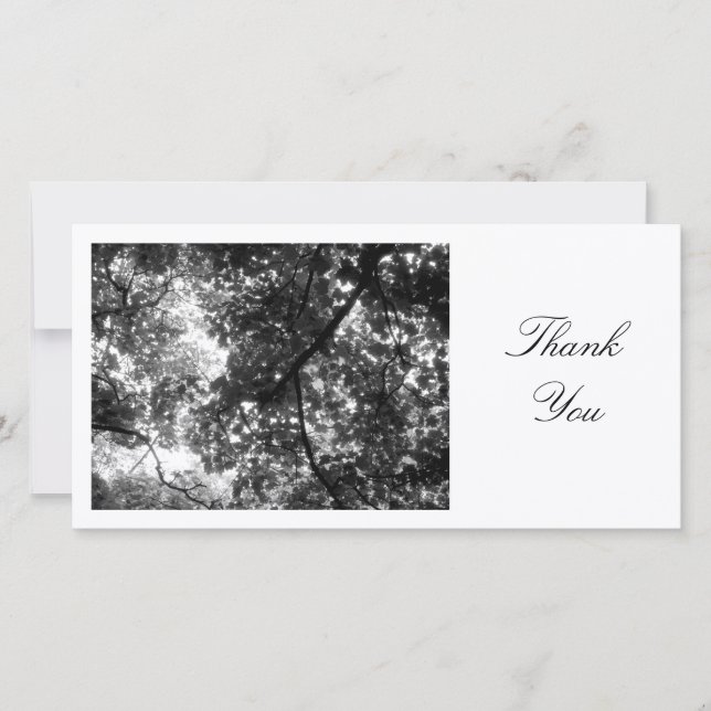 In the Trees - Thank You Card (Front)