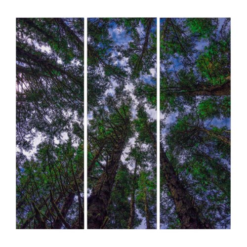 In the Trees Triptych