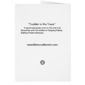 In the Wild: Orangutan (Back)