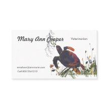 In the Wild Watercolor Modern Exotic Turtle