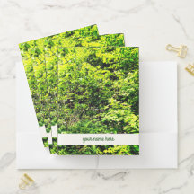 In the Wood and '' Your Name Here "