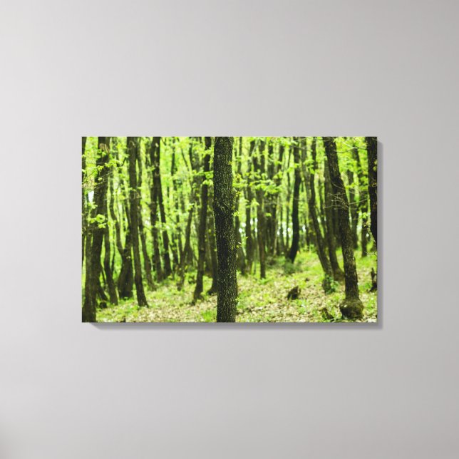 In the Wood Canvas Print (Front)
