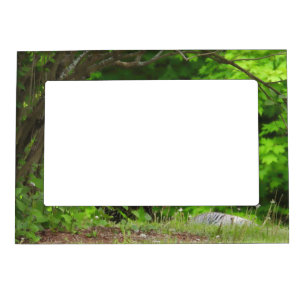 In the Woods- Green leaves Magnetic Frame