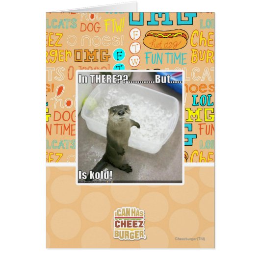 In there? Is Kold! Cards (Front)