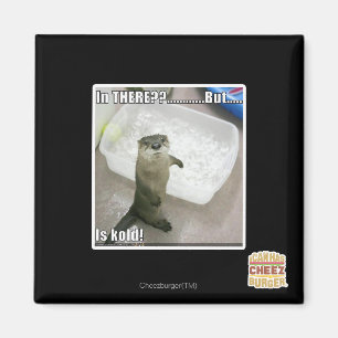 In there? Is Kold! Magnet