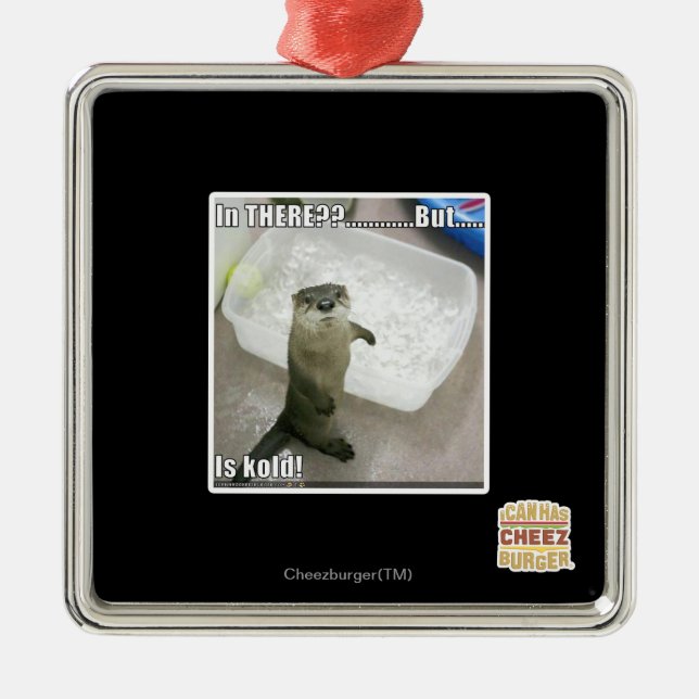 In there? Is Kold! Metal Ornament (Front)