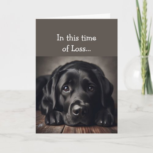 In this Time of Loss Scripture Comfort Sad Dog Card