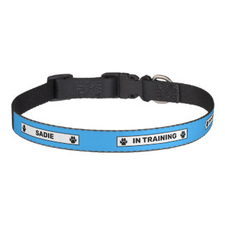 In Training - Do Not Disturb - Black Paws - Blue Pet Collar