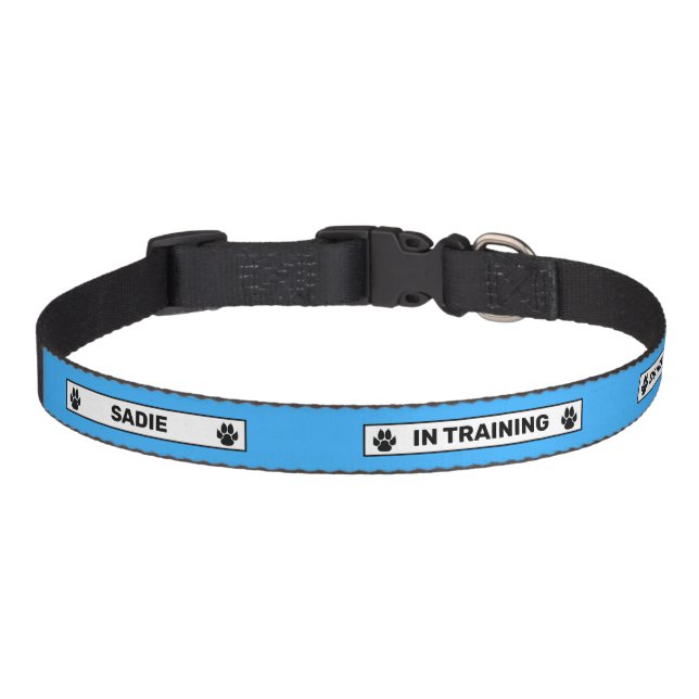 In Training - Do Not Disturb - Black Paws - Blue Pet Collar (Front)