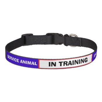 In Training Service Animal Dog Collar by PetsandVets at Zazzle