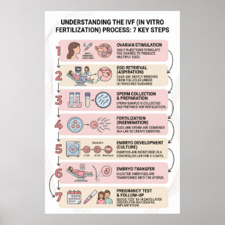 In Vitro Fertilization (IVF) Process Explained: 7  Poster