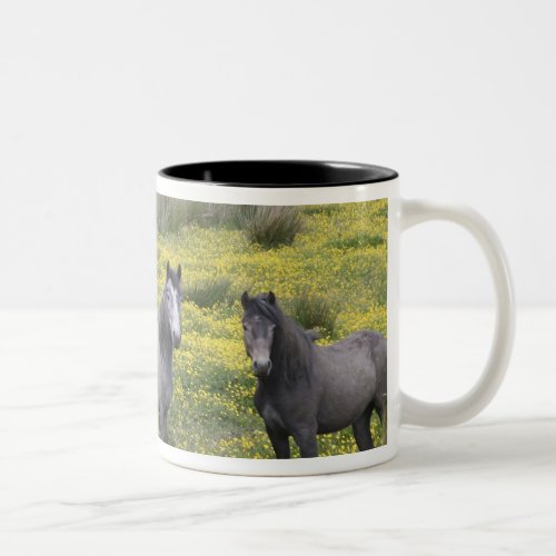 In Western Ireland three horses with long Two_Tone Coffee Mug