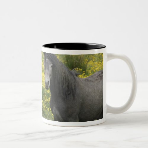 In Western Ireland two horses with long Two_Tone Coffee Mug
