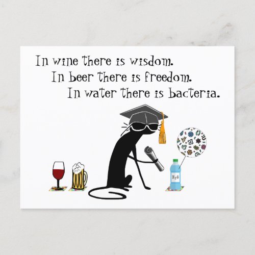 In Wine There Is Wisdom Funny Wine Saying Postcard