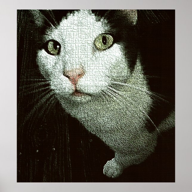  In Your Face Bob Poster (Front)