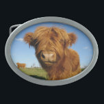 In Your Face Cow Belt Buckle<br><div class="desc">Add some color and character to your style with one of our amazing belt buckle designs!</div>