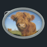 In Your Face Cow Belt Buckle<br><div class="desc">Add some color and character to your style with one of our amazing belt buckle designs!</div>