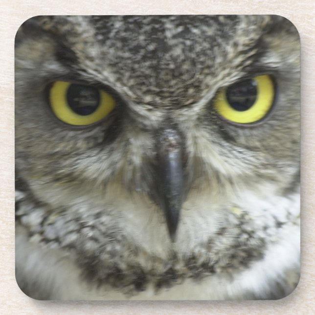 In Your Face Owl Drink Coaster (Front)
