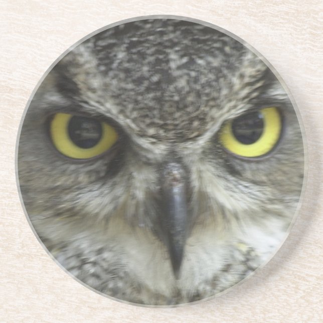In Your Face Owl Sandstone Coaster (Front)