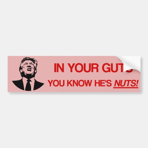 In Your Guts You Know Hes Nuts Anti Trump Bumper Sticker