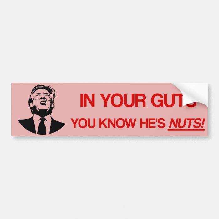 In Your Guts You Know He S Nuts Anti Trump Bumper Sticker Zazzle