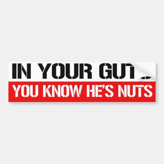 In Your Guts You Know He S Nuts Feminist Bumper Bumper Sticker