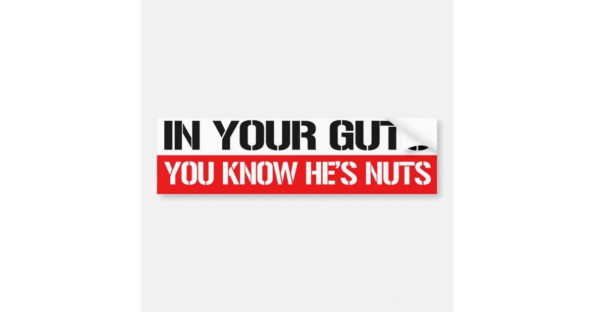 In Your Guts You Know He S Nuts Feminist Bumper Bumper Sticker Zazzle