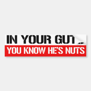 In Your Guts You know he's nuts - Feminist Bumper  Sticker