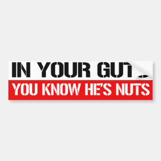In Your Guts You know he's nuts - Feminist Bumper  Sticker