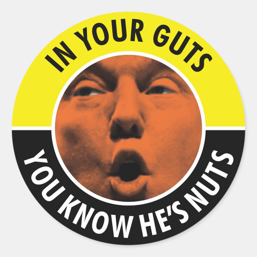In Your Guts You Know He's Nuts Trump Sticker Zazzle