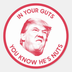In Your Guts You Know Trump Is Nuts Classic Round Sticker