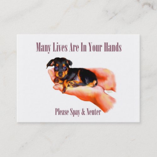 In Your Hands (Please Spay &amp; Neuter) Business Card