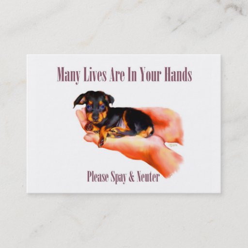 Customizable In Your Hands (Please Spay &amp; Neuter) Business Card