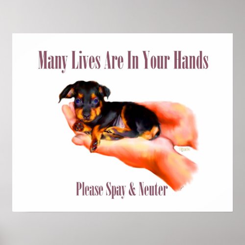In Your Hands Please Spay  Neuter Print