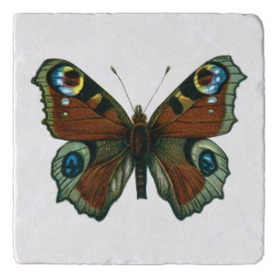 Inachis io - The European Peacock Butterfly Trivet