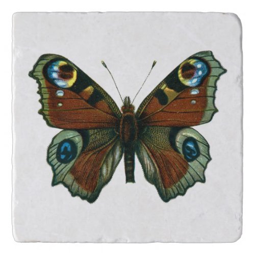 Inachis io _ The European Peacock Butterfly Trivet