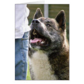 Inca looking up cards (Front)