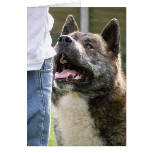 Inca looking up cards (Front)