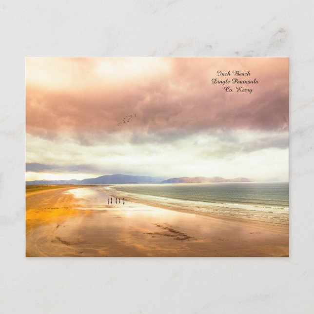 Inch Beach on the Dingle Peninsula Holiday Postcard (Front)