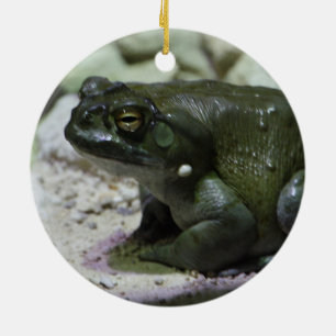 Incilius alvarius ceramic ornament