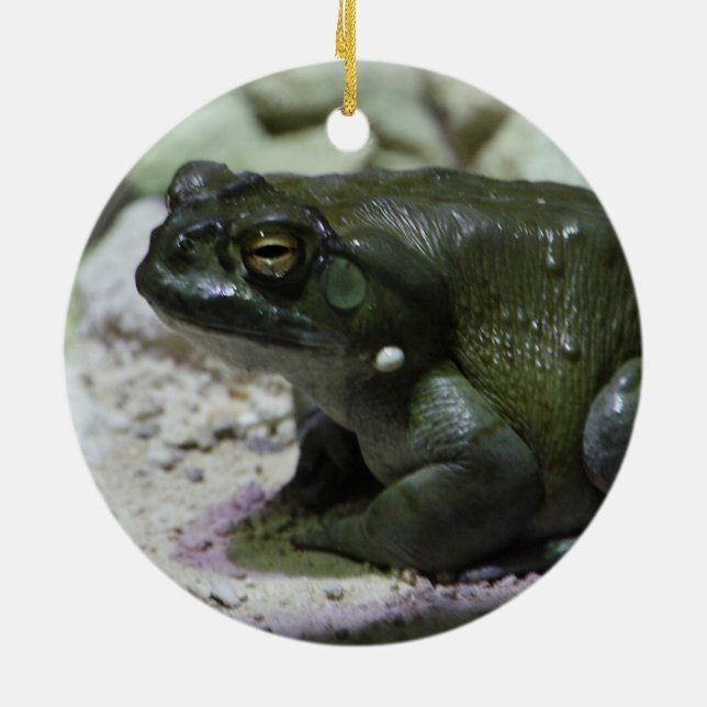 Incilius alvarius ceramic ornament (Back)