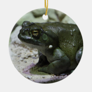 Incilius alvarius ceramic ornament