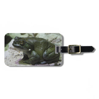 Incilius alvarius luggage tag