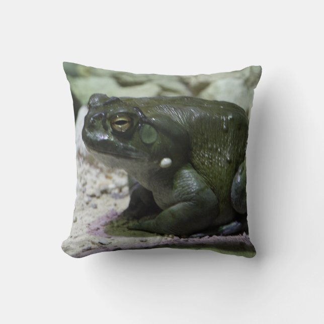 Incilius alvarius throw pillow (Front)