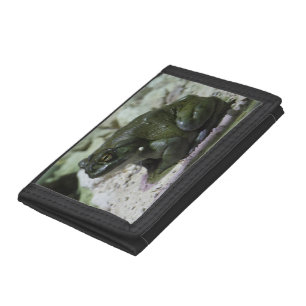Incilius alvarius trifold wallet